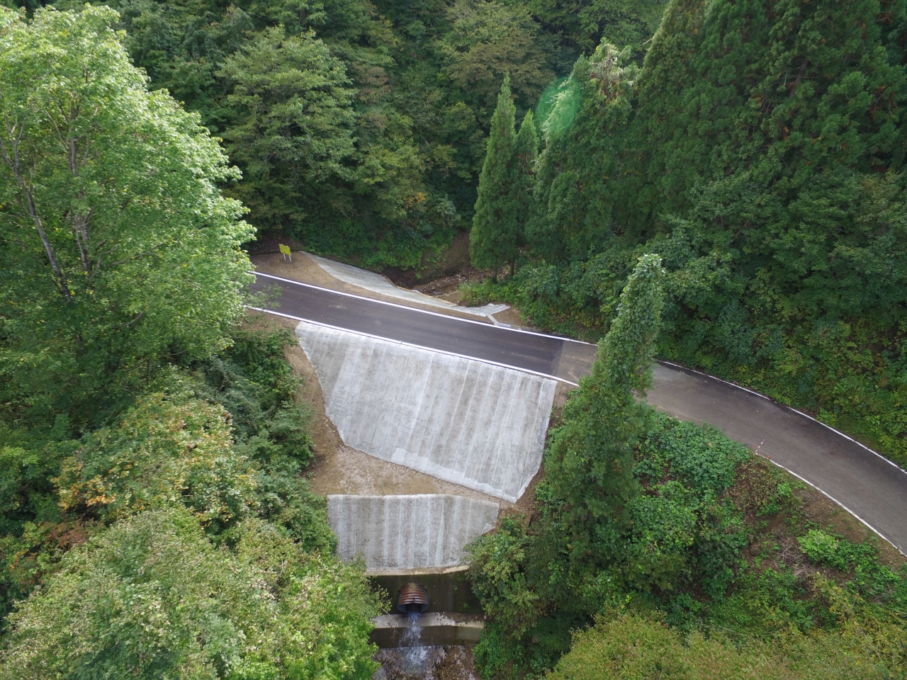 林道医王線